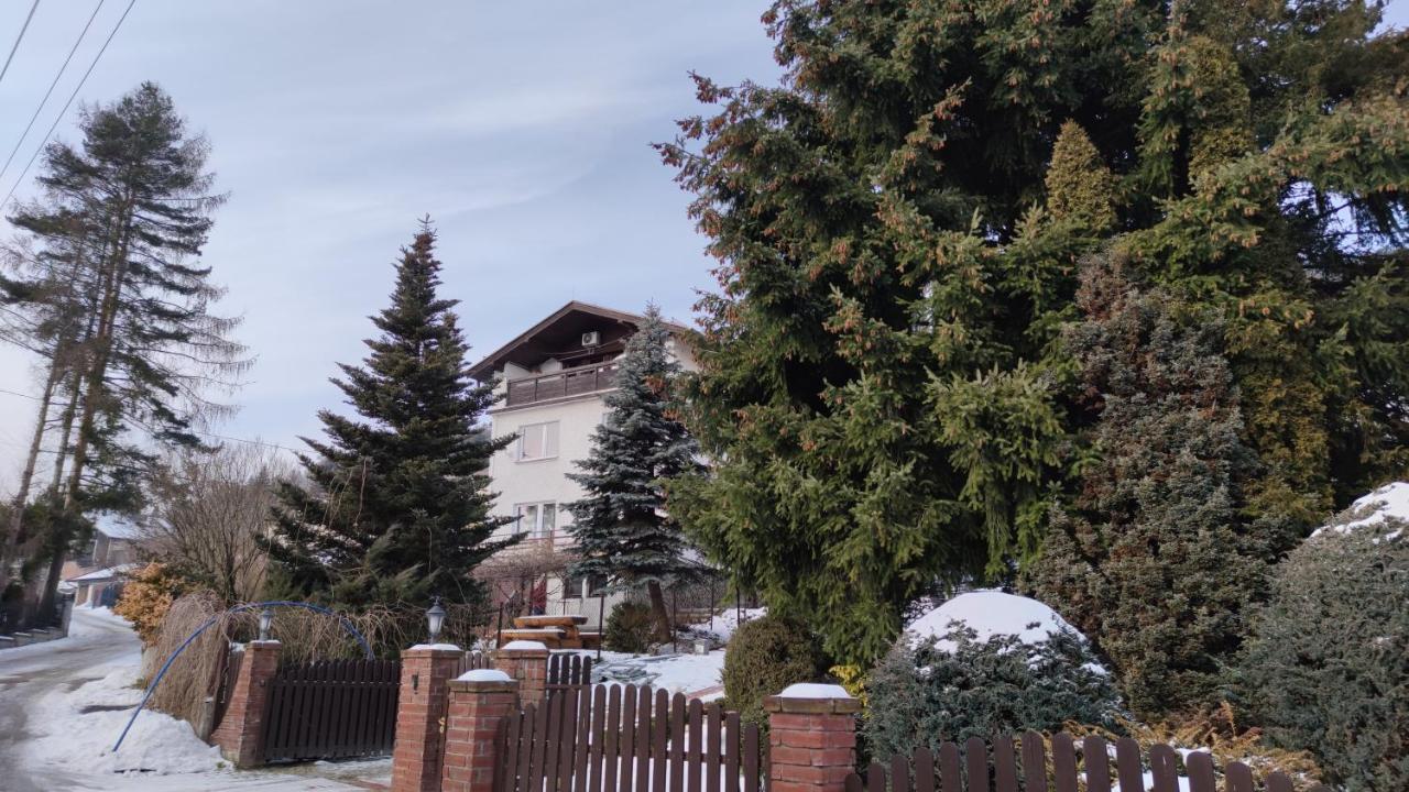 Alfa 2 Apartament 3 Bystra  外观 照片
